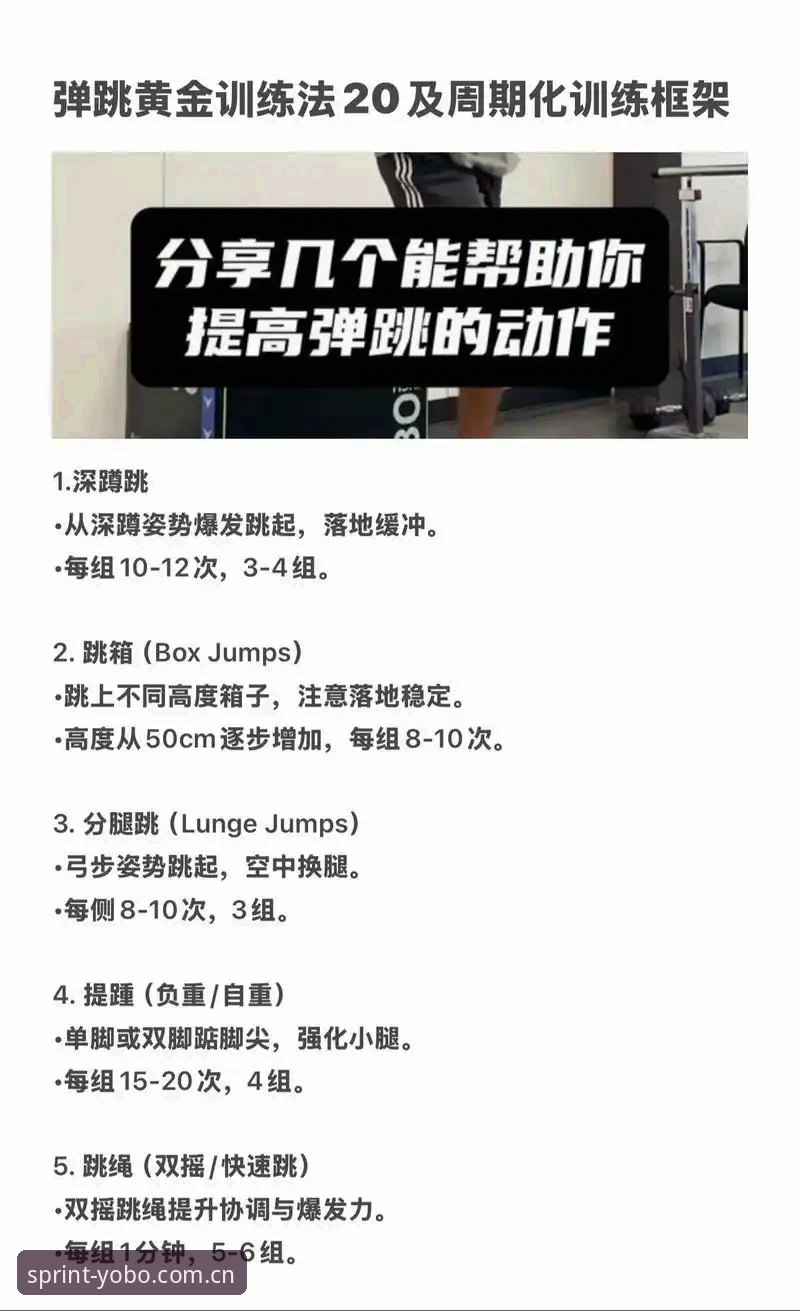 YOBO体育体验教程 YOBO体育平台实操详解:从入门到精通